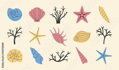 Set of various simple sea shells, starfish and corals. Vector illustration.