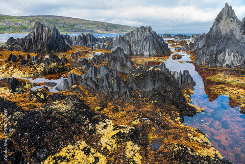 Scharfkantige Felsstrukturen an der Küste von Berlevåg, Norwegen