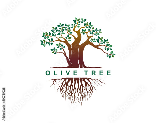 Olive tree and roots logo template. you can insert text in the middle of the logo. useful for business, insurance and consultant company logo.