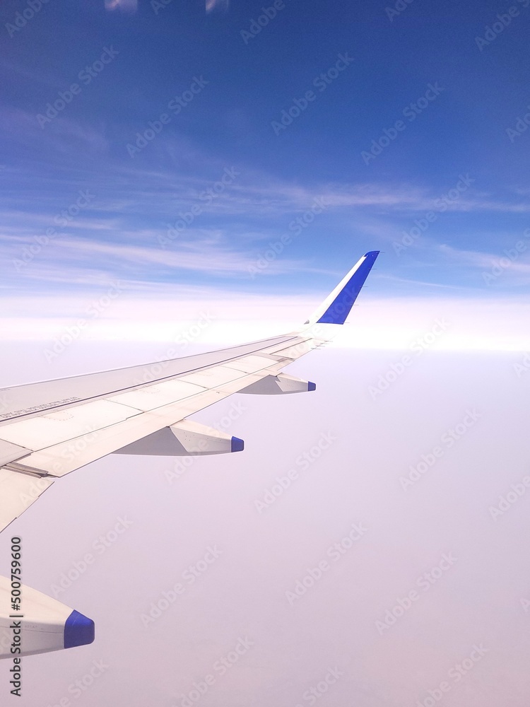 Fototapeta premium airplane in the sky