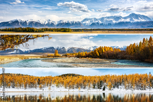 Fototapeta Naklejka Na Ścianę i Meble -  Autumn in Altai Mountains. Landscape photo collage with beautiful mountain views and travel destinations.