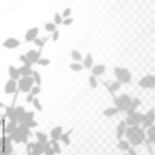 Realistic shadow tropical leaves and branches on transparent checkered background. The effect of overlaying shadows. Natural light layout.