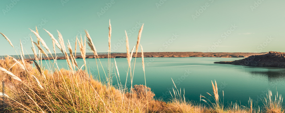Lake in desert environment with plants in the foreground