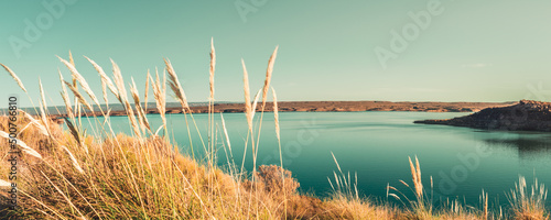 Obraz na płótnie Lake in desert environment with plants in the foreground w salonie