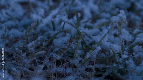Green grass covered with snow. Day. Slow pan. Close up. Selective focus. Night scene. Deep blue.