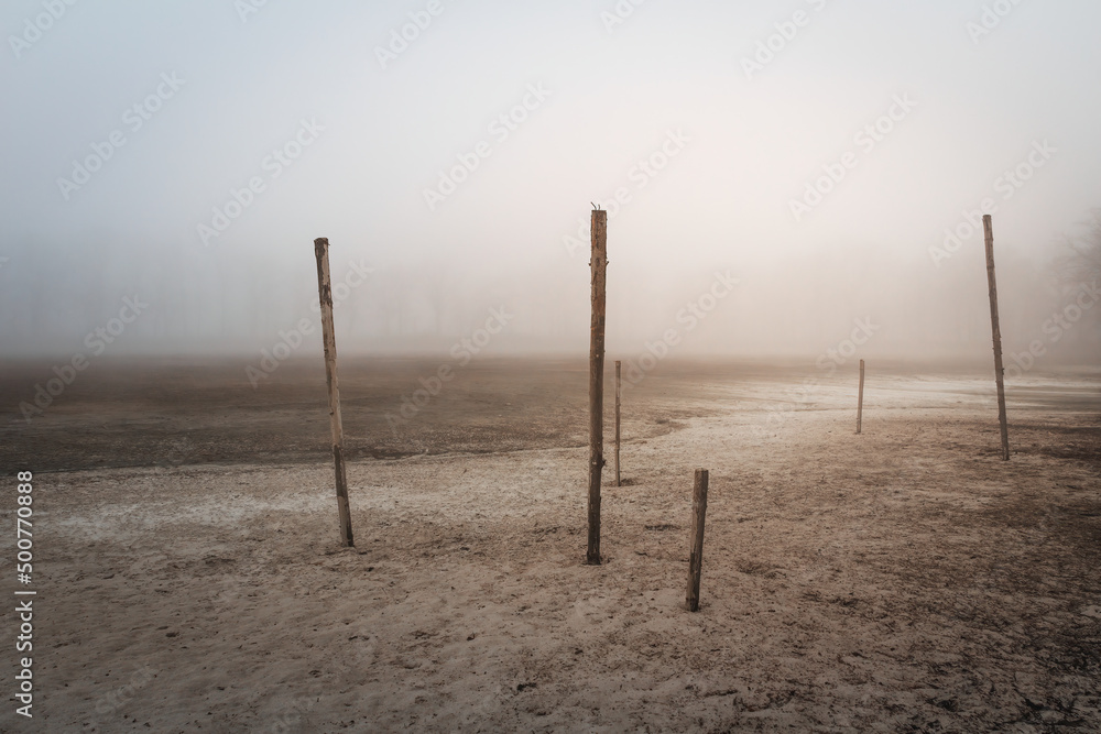 Wooden stick in sand dry pond ground under misty fog at sunset. Apocalyptic, horror, tranquil czech landscape