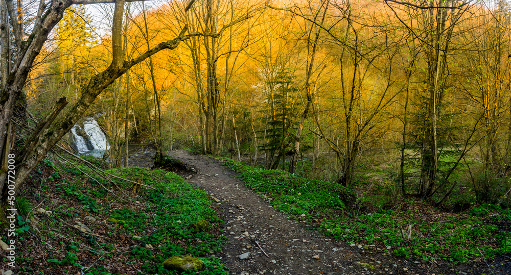 a trail to waterfal Hurkalo in the Carpathians, Skole Beskids National Nature Park, Ukraine a trail to waterfal Hurkalo in the Carpathians, Skole Beskids National Nature Park, Ukraine