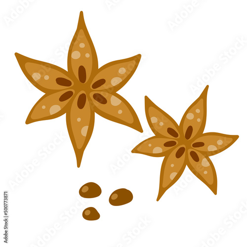 Anise star. Aromatic seasoning. Brown dried food and spice. Flat cartoon isolated on white