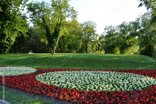 Red and white begonia flowers in Bundek park, Zagreb, Croatia