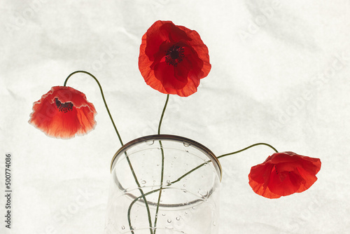 Floral arrangement of three red poppies with large buds in a transparent vase on a white paper background