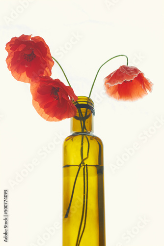 Three large red poppy flowers with long stems in a yellow transparent glass bottle with water on a white paper background