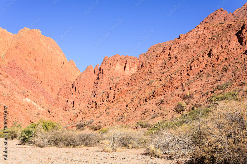 Fototapeta premium Bolivian canyon near Tupiza,Bolivia