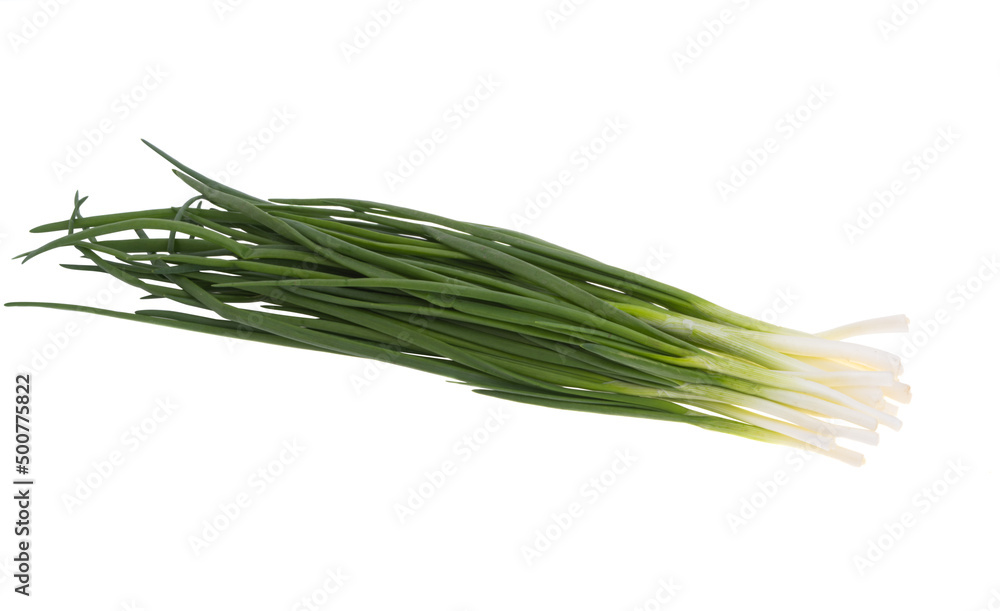 green onion isolated green onion isolated