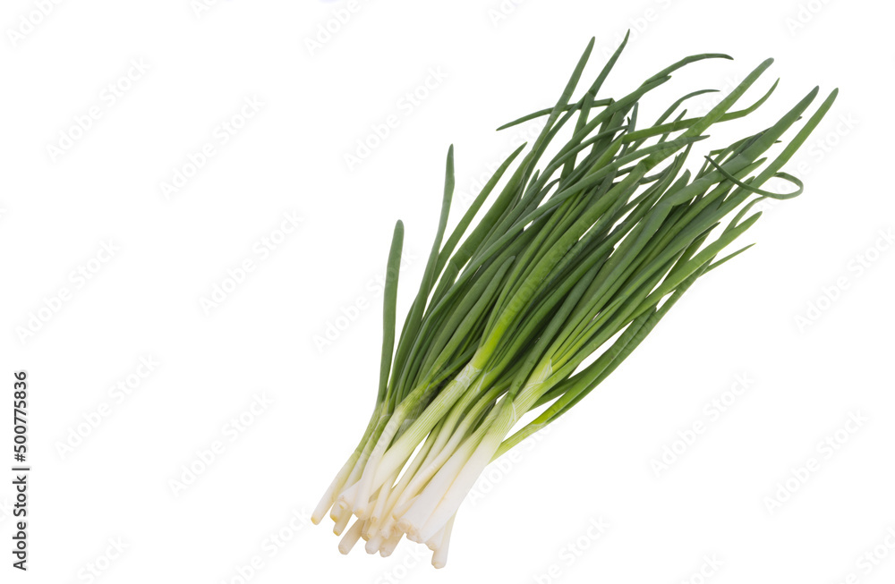 green onion isolated