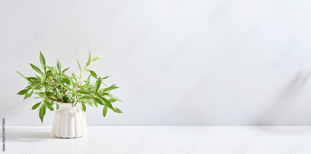 Branches with green leaves in a vase and shadows on a white table. Mock up for displaying works Branches with green leaves in a vase and shadows on a white table. Mock up for displaying works