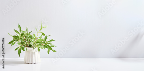 Branches with green leaves in a vase and shadows on a white table. Mock up for displaying works
