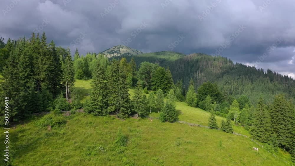 Flight over a beautiful mystical mountain landscape. Coniferous forest, mountains, storm clouds Flight over a beautiful mystical mountain landscape. Coniferous forest, mountains, storm clouds