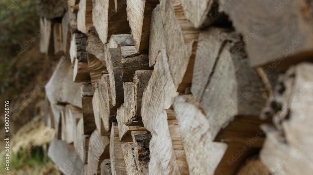 Fototapeta premium wood