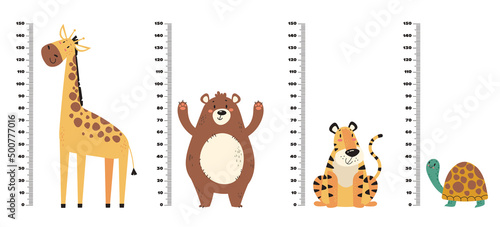 Kids growth rulers with jungle animals set. Vector flat graphic design illustration photo