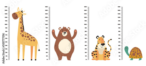 Kids growth rulers with jungle animals set. Vector flat graphic design illustration