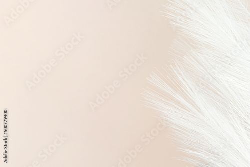 Colorful Artificial Feathers Shot on Beige Background. Space for text. © Alexa Mat