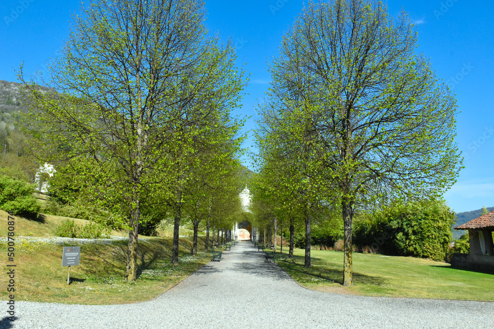 VIALE CON ALBERI E CAPPELLA VIALE CON ALBERI E CAPPELLA