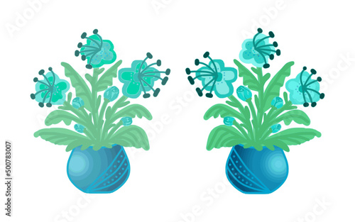 Flower with blue inflorescences, indoor plant in a pot, on a transparent background, for print and design