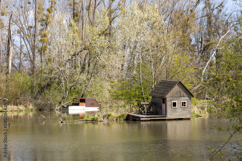 Obraz premium Small wooden house in the forrest, on the river.