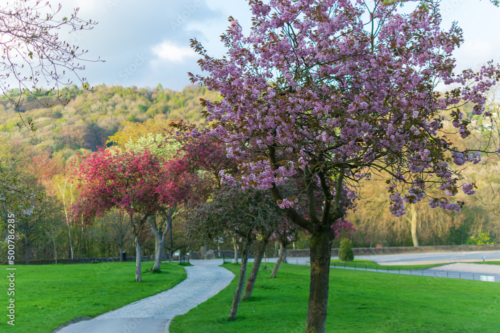 spring in the park spring in the park