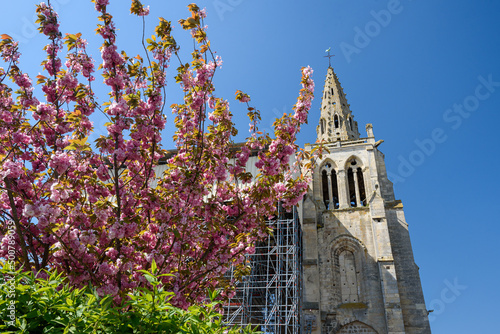 The collegiate church of Saint Thomas of Canterbury in the springtime, surrounded by cherry blossoms. Crépy-en-Valois, Oise, FRANCE. 