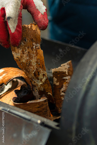 A man in a protective glove puts dry birch bark in the barbecue.