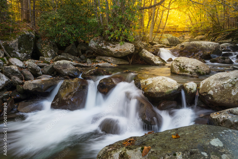 Autumn foliage and cascading water deep in the Great Smoky Mountains National Park