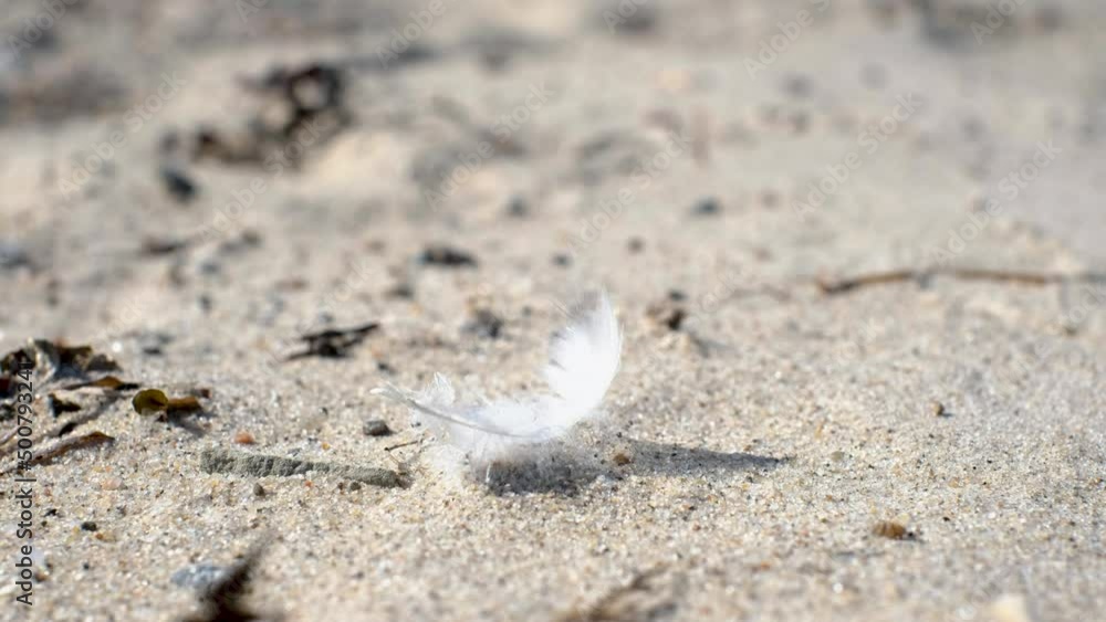 Gentle white bird feather struggling in strong wind. Stormy weather on sandy beach. Extreme weather conditions. Gentle white bird feather struggling in strong wind. Stormy weather on sandy beach. Extreme weather conditions.