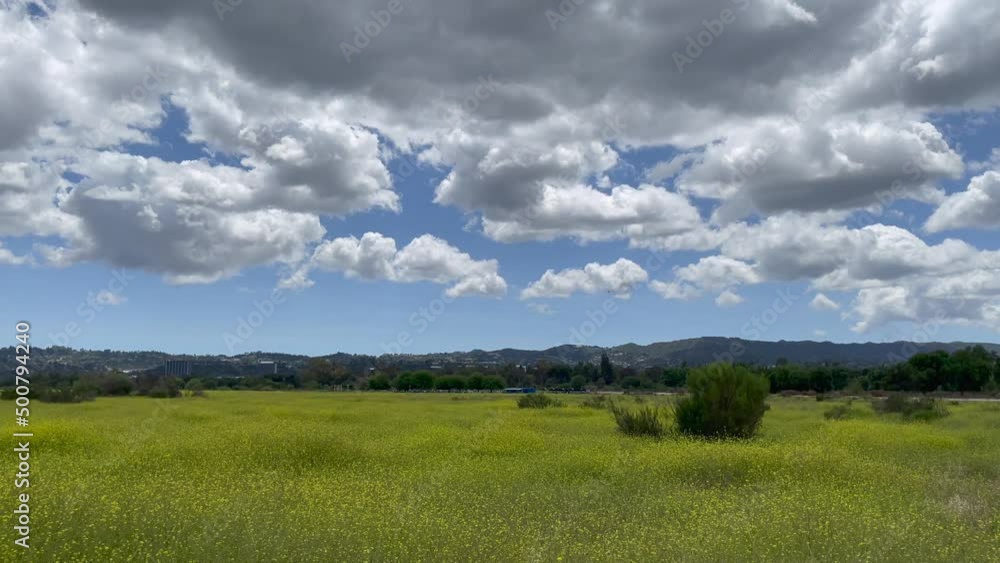 Scenic blooming Lake Balboa Park vista in springtime, San Fernando Valley, Los Angeles, California Scenic blooming Lake Balboa Park vista in springtime, San Fernando Valley, Los Angeles, California