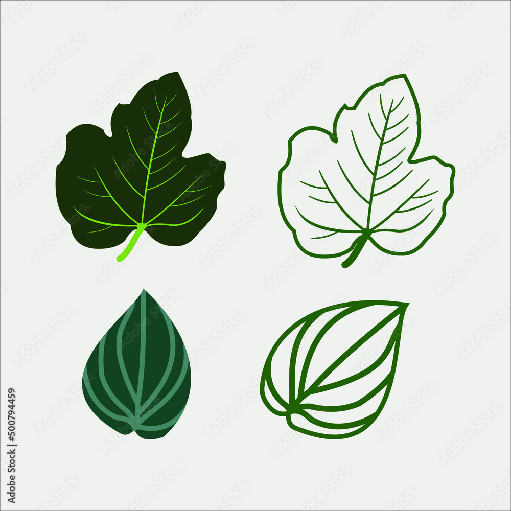 green leaves nature elemental vector