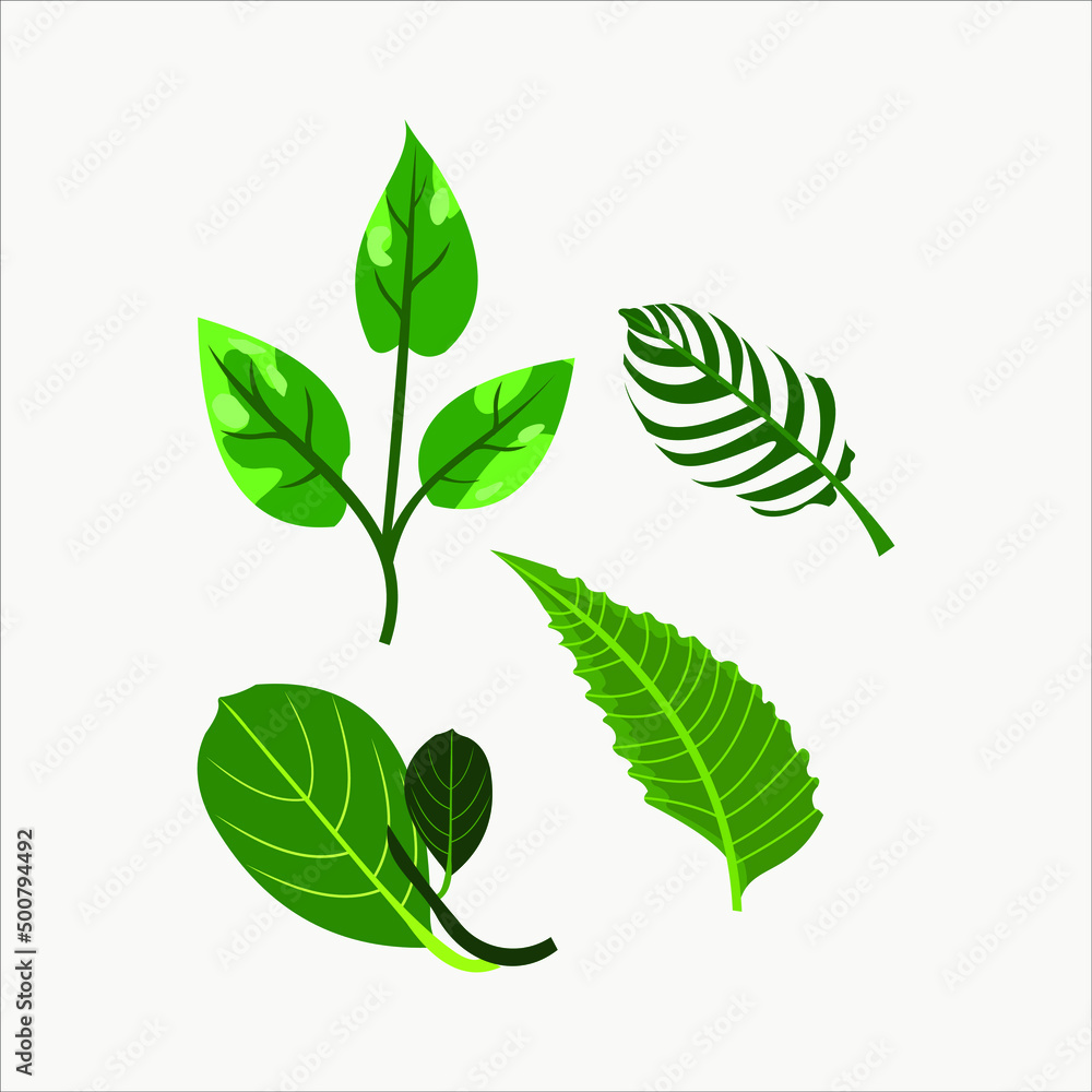 Forest green leaves illustration element collection