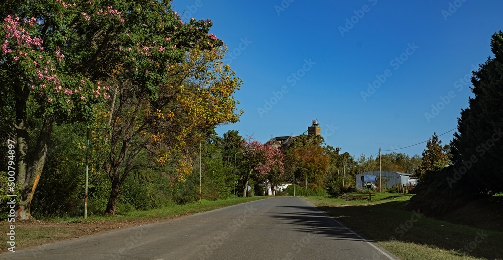 Fototapeta premium Camino de Capilla, Buenos Aires, Argentina 