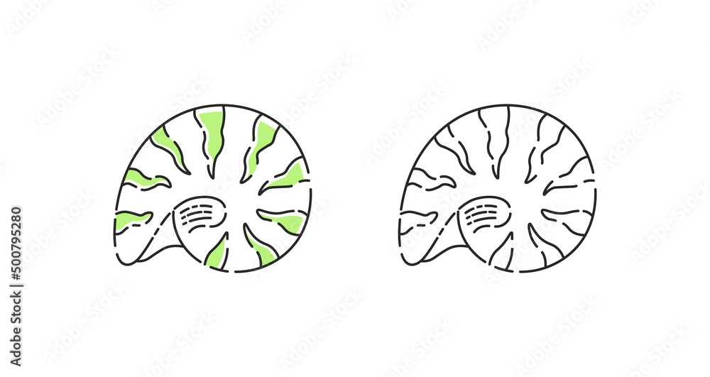 Seashell icon linear vector. Chambered nautilus shell logo symbol set in color and black. Seashell icon linear vector. Chambered nautilus shell logo symbol set in color and black.