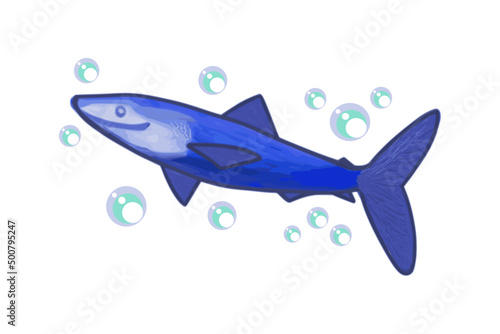 Fish, great blue shark, color illustration, on a transparent background