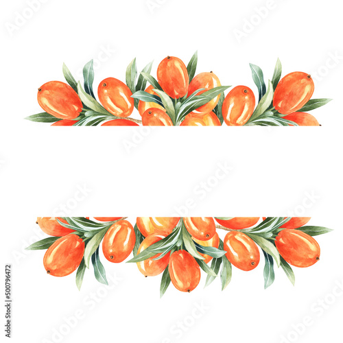 Borders with sea buckthorn. Sea buckthorn template isolated on a white background. Hand drawing. Vector design eps 10