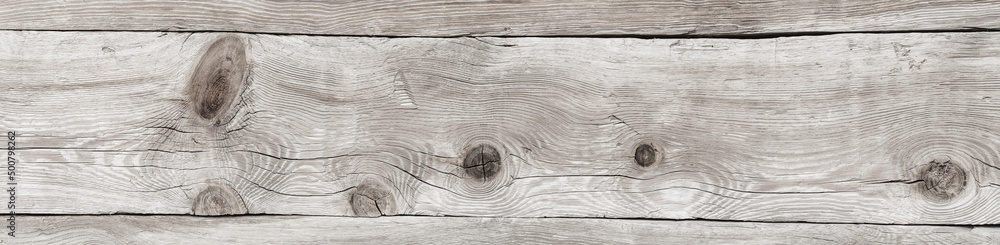 Fototapeta premium Jasne naturalne drewniane tło Tekstura białego skorodowanego drewna. Panorama. 