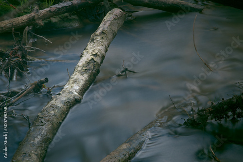 A log in a stream with blurry flowing water.