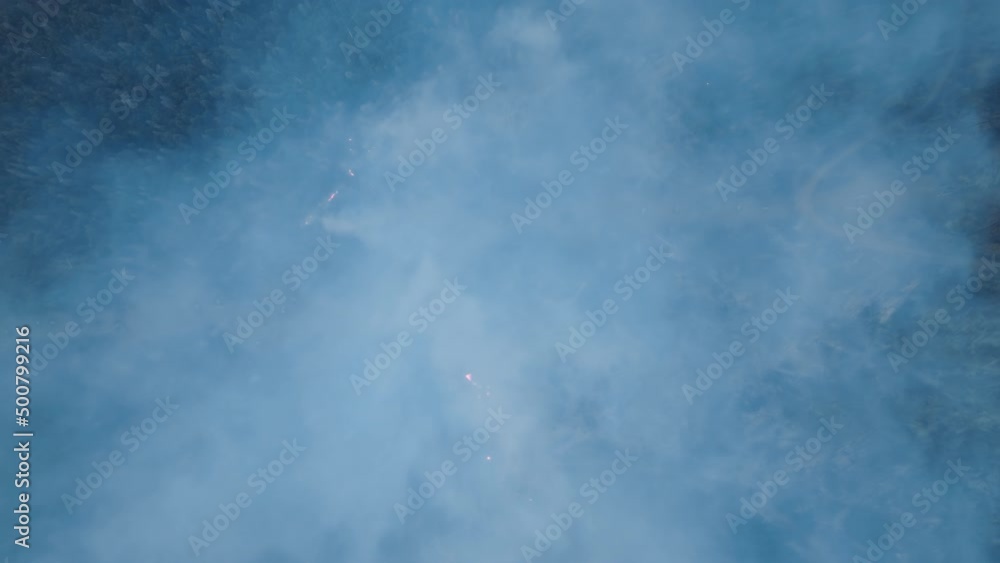 Beautiful fir forest within mountainous landscape, covered in flames Beautiful fir forest within mountainous landscape, covered in flames