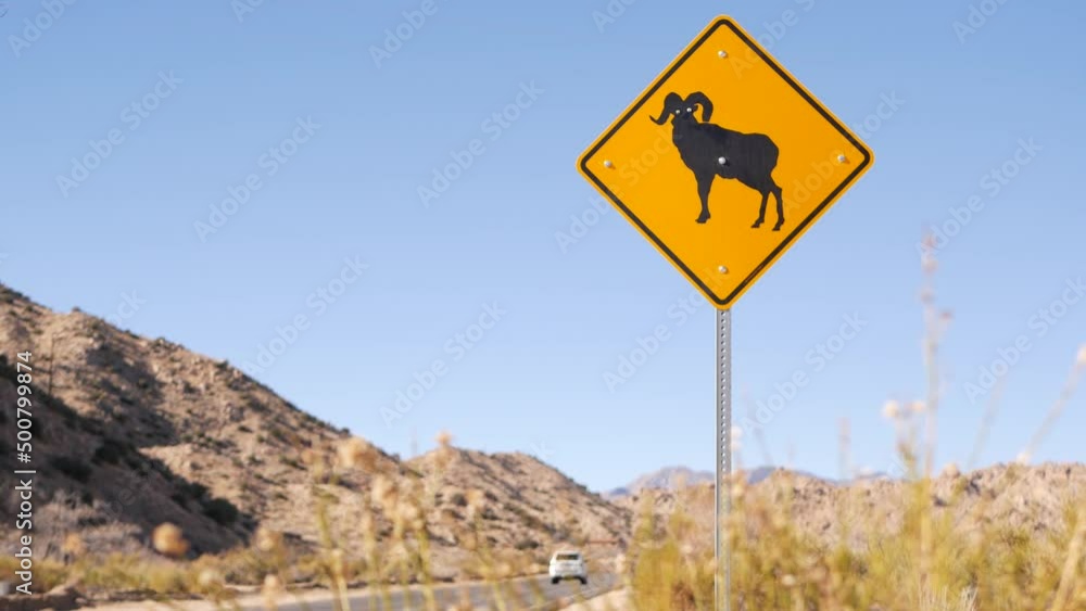 Bighorn sheep, ram crossing warning yellow sign, California USA. Wild animals xing traffic signage, safety driving on road. Wildlife fauna protection from cars, highway in desert wilderness. Road trip