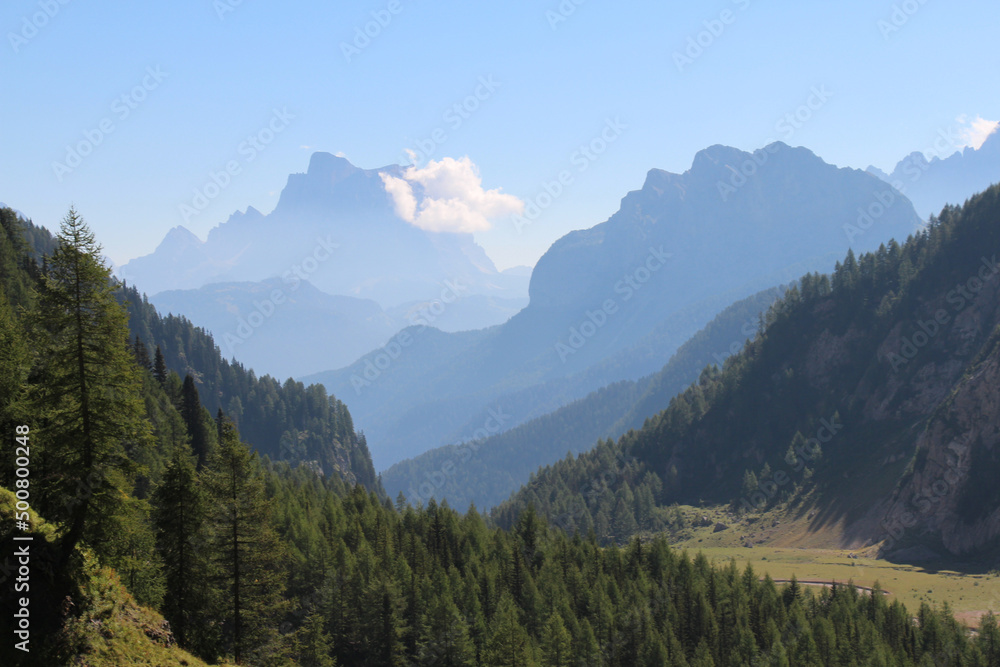 Mountain landscape. Valley with green forest and mountains on background ina sunny day. Valle Ombretta, Italian Alps.