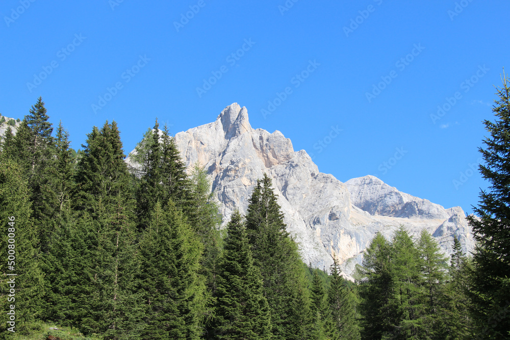 Mountain massif through green forest in a sunny day.