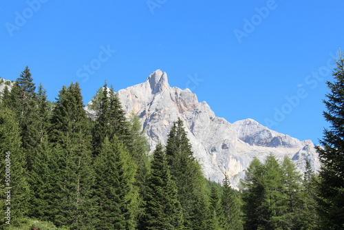 Mountain massif through green forest in a sunny day.