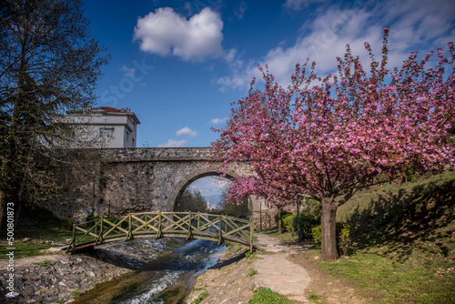 Blooming trees and bridges in Bursa Gokdere park photo
