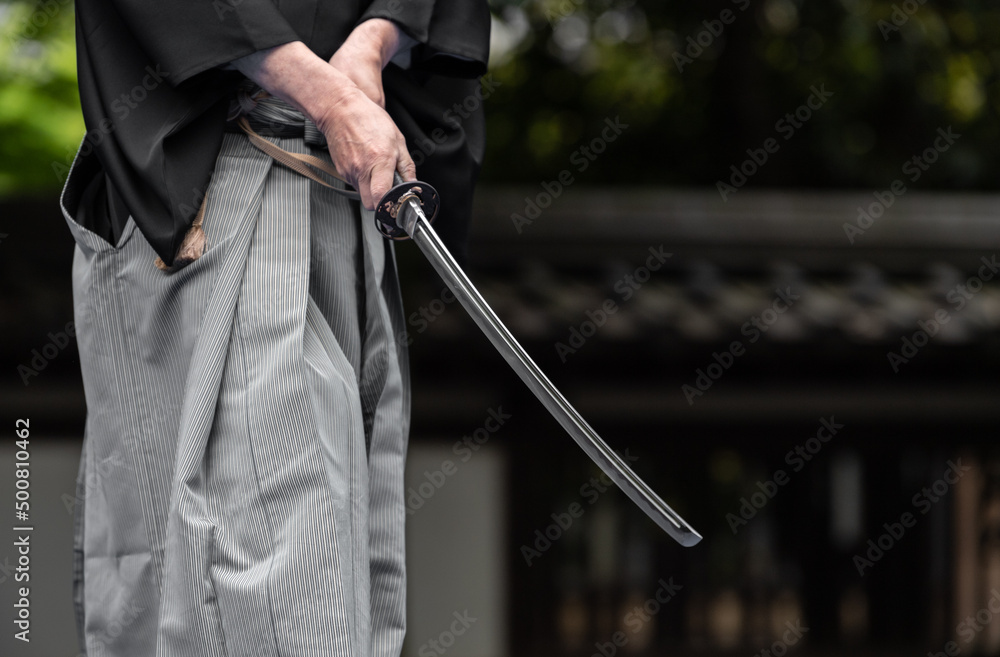 日本刀を構える人物 Stock Photo Adobe Stock