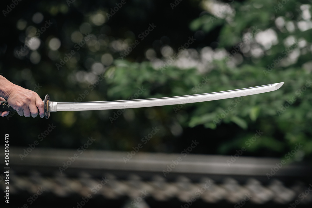 Fototapeta premium 日本刀を構える人物